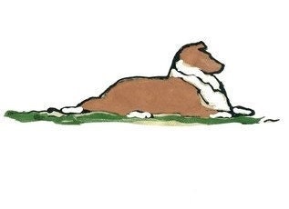 Hand-drawn Collie by LeCanin